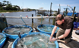 Student working in marina