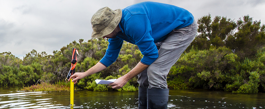 Person doing research in the water measuring.