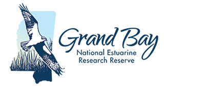 Grand Bay National Estuarine Research Reserve