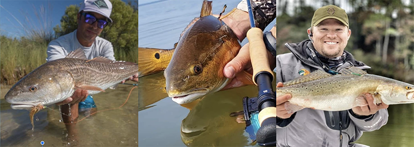 Two people holding fish and a fish up close.