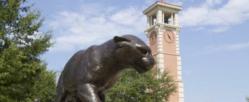 Bronze jaguar statue with Moulton Tower in the background