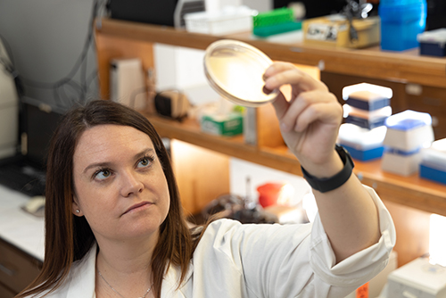 Allyson E. Shea, Ph.D. holding up dish in lab.